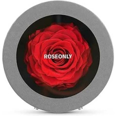 roseonly. Eternal Rose, Real Rose Box, Preserved Roses, Infinity Red Rose, Gifts for Women, Girlfriend for Birthday, Valentine's Day, Christmas, Mother's Day, Anniversary (Mini)