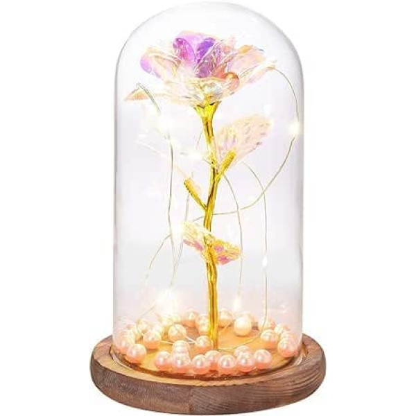 GloBrite Enchanted Rose Colourful Gold Foil Rose Elegant Glass Dome with LED Lights Pine Base, Magic Gifts Romantic Home Decor for Valentine's Day Gift, Wedding, Anniversary, Mother's Day Gifts