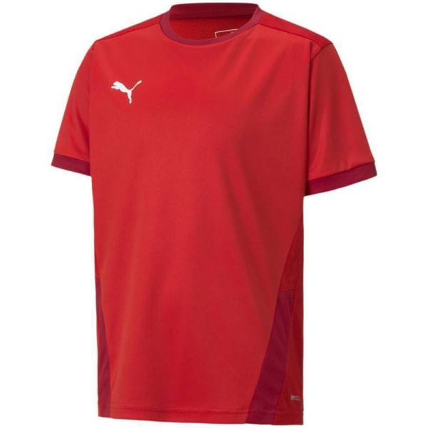 Puma teamGOAL 23 Jersey Jr T-krekls 704160 01/116cm