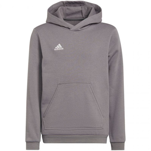 Adidas Entrada 22 Hoody Jr sporta krekls H57515 / 176cm