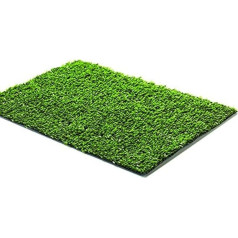 GARDEN FRIEND P1902310 Lawn Green Basik 8 mm H 100 L 300 cm