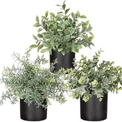 Oairse komplekts ar 3 maziem augiem podos, mākslīgais augs Īsts eikalipts mini mākslīgais rozmarīna mākslīgās papardes augs, ģipsis mazs ar podiņiem, galda dekorēšana, mājas, balkons, biroja dekorēšana