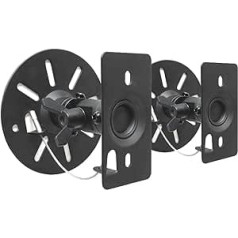 2 Speaker Mounts HiFi System Mount