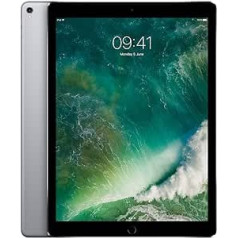 Apple iPad Pro 12.9 (2. Gen) 64 GB Wi-Fi — Space Grau (Generalüberholt)