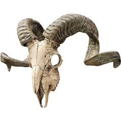 Design Toscano CL3377 Corsican Ram Skull and Horns Wall Trophy
