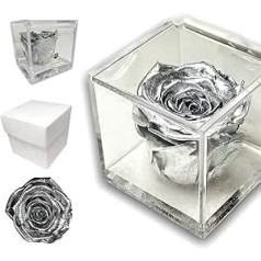 1806 Cube Pink Stabilized Silver 8 cm Box Rozā Īsta Rozā Mūžīgā Roze Mātes diena Dzimšanas diena Īsta Roze Premium Rose