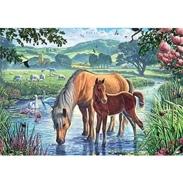 Meecaa Paint by Numbers Mother Horse Bird Stream ziedu komplekts pieaugušajiem iesācējiem DIY eļļas glezna 16 x 20 collas (zirgs, bez rāmja)