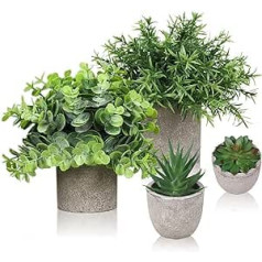 Small Artificial Plants Set of 4 Plastic Artificial Plants Indoor Decorative Artificial Plants in Pots, Eucalyptus, Rosemary, Succulents, Cactus, Office, Home Decoration