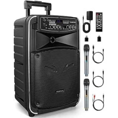 FUNPICK FTSK12-2 Portable Bluetooth PA Speaker System with Wireless Microphone, 12 Inch Woofer, Rechargeable Karaoke Machine, USB/TWS/LINE in/FM