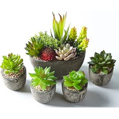 Jobary Set of 5 Artificial Succulents with Pots (Including 10 Plants), Colourful and Decorative Fake Succulents with Stones, Ideal for Home, Office and Outdoor Decor