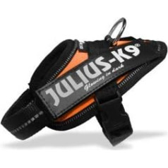 Julius K9 Orange Harness + 2 Personalised Labels (Baby 2 (Chest Circumference: 33-45 cm)