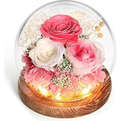 WYRIAZA Eternal Rose Glass Infinity Stikla roze Konservēti Īsti Bezgalīgi Izturīgi Rozā ziedu Dāvanas Sievietes Mamma Sieva Draudzene Sieva Ziemassvētku Dzimšanas diena Dzimšanas diena Mātes dienas Gaisma LED Mūžīgā