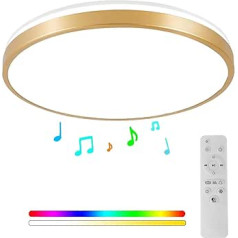 Horevo 30 cm Bluetooth Ceiling Light with Remote Control, 24 W Champagne Gold Ceiling Light, Dimmable and Colour Changing Light with Speaker Light, Suitable for Children's Room, Bedroom