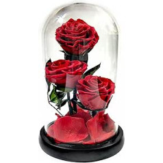 Konservētas rozes Īstas sarkanas rozes stiklā 3 galvās Bezgalības roze 3 gadus ilgi noturīgi ziedi Dāvana sievai mammai vecmāmiņai draudzenei Valentīndienas gadadienā Mātes diena dzimšanas diena apm. 21 cm augsts