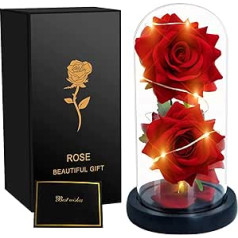 SWEETIME Beauty and the Beast Rose Gift for Her, Eternal Rose in Glass, Best Rose Gifts for Wedding Decor Christmas Mother's Day Valentine's Day Anniversary Wedding Gift Kit (Red)