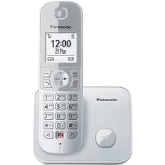 Panasonic Dual-Micro/Nano KX-TG6851GS bezvadu tālrunis (līdz 1000 tālruņu numuru blokam, skaidrs fonta lielums, skaļa klausule, pilna dupleksa brīvroku zvanīšana) Pērle-sudrabs