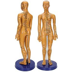 Acupuncture Model of Human Body Female Male Copper Colour Meridian Acupuncture Point Model for Chinese Medicine Teaching Acupuncture Massage Lettering Craft (Female Model)