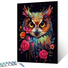 Tucocoo Paint by Numbers, Owl Portrait Set with Brushes and Acrylic Pigment on Canvas, Painting for Adults, Animal Roses, Flowers, Hand-Painted Craft Project for Home Decoration (DIY Framed)
