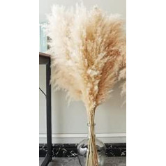 16 Stück Pampas Grass groß, Pampas Grass XXL, Pampas Grass Deko Gross(105CM)