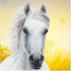 DD-50461 Diamond Dotz White Horse 12 x 12 collu dimanta glezna ar dimantiem, dzirkstoša DIY glezna bērniem un pieaugušajiem