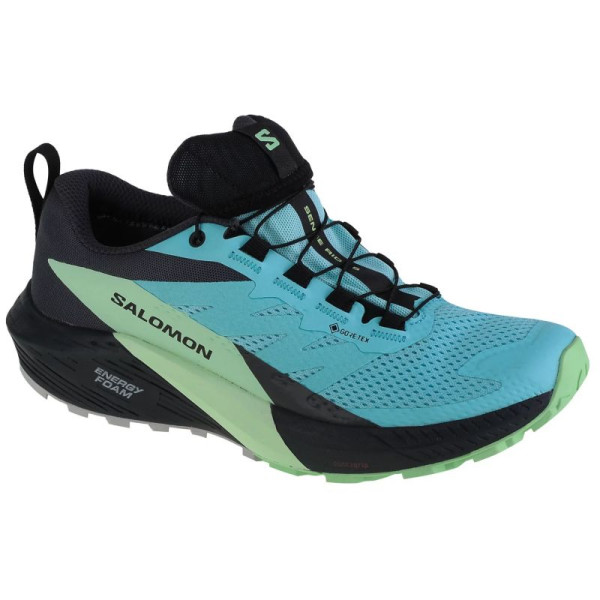 Salomon Sense Ride 5 GTX W skriešanas apavi 472160 / 38