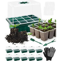 CHMMY Mini Greenhouse Propagator Box, Pack of 10 Mini Greenhouse Propagation Set with Planting Fork, Gloves, Labels Propagation Tray with Lid and Ventilation for Seedling Plants