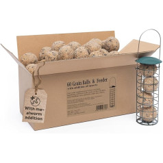 Fat Balls Without Net with Fat Ball Holder and Insects - Wild Bird Food with Fat Balls Holder - 60 x Insect Dumplings with Bird Feeder 21 x 7 cm