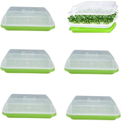 Rigute Seed Sprouter Tray, Germination Trays for Sprouts with Lid, Greenhouse Propagation Tray, 32 cm x 26 cm, Nursery Tray for Large Seeds, Germination, Garden, Home, Office Pack of 6