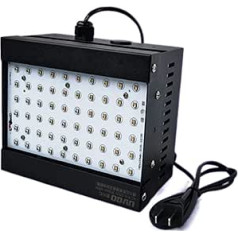 IBERSA UV-LED-Schwarzlicht, 1500 W hochintensive UV-Kleberhärtungslampe 405 nm grüner Öllack OCA-Harzhärtung 3D-Druck 395 nm 365 nm (Izmērs: 1 UK, krāsa: 365 nm)