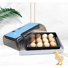 12 Eggs Mini Digital Incubator Egg Fully Automatic Incubators Incubator Chicken Eggs with LED Poultry Incubator Temperature and Humidity for Chickens, Ducks, Birds