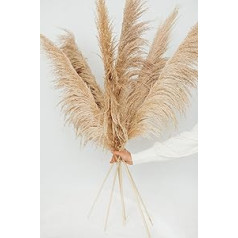 - Pampas Grass lielais iepakojums pa 3 XXL — Pampas Grass žāvēts 120 cm Boho istabas dekors, dzīvojamās istabas vannas istabas kaltēti ziedi, moderns (brūns XXL iepakojums pa 3)