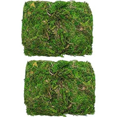 TRIXES 100g Decorative Dried Green Moss Plant Flower Arrangements Wreaths and Other Crafts - Ideal for Decoration, Plant Terrarium, Large/Small Reptile Cages