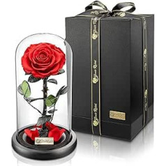 YourRoses® Īsta augstākās kvalitātes stikla roze ar skaistu dāvanu kastīti, ilgu izturību un elegantu dāvanu kā mīlestības zīmi, dāvana no sirds