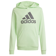 Adidas Big Logo Hoodie meiteņu sporta krekls IS2591 / zaļš / 152 cm