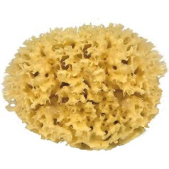 Croll & Denecke M140 Sea sponge Hand-finished from the natural sea, 1 piece, 14 cm