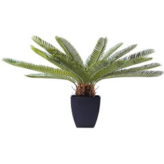 Kare Design Cycas Tree Decoration Plant 78 cm