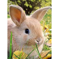 Henair 5D Diamond Painting Pilns urbju komplekts Bunny Rabbit DIY Dimanta glezna Attēli Dzīvnieki Glezniecība pēc skaitļiem Dimanta krustdūriens Izšūšana Glezniecības komplekti Māksla Amatniecība mājas sienu dekorēšanai 30 x 40 cm