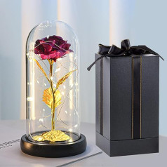 Catekro mūžīgā roze stiklā ar gaismu, silta gaisma, konservēti ziedi, zīda roze un gaismas diode galvenajam dekoram Dzimšanas diena, Kāzas, Valentīna diena, Mātes diena, jubileja, Ziemassvētku diena (rozā)
