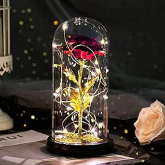 Pasdtfb Valentine's Day Rose Gift for Her Beauty and the Beast Rose Eternal Rose in Glass with LED Light in Glass Dome Birthday Gift for Women Gifts for Mum Girlfriend Wife Grandma Mother's Day Anniversary