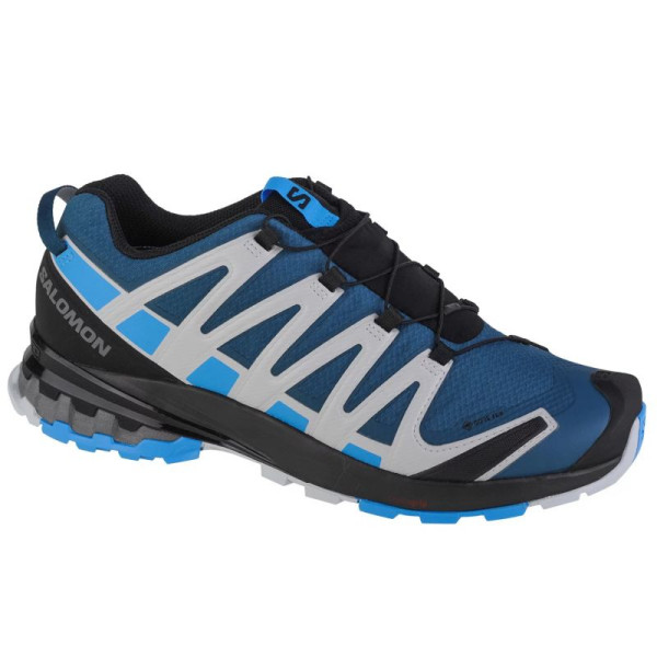 Salomon XA Pro 3D v8 GTX M skriešanas apavi 416292 / 45 1/3