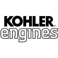 Kohler 18-789-01-S komplekts, apkope oriģinālā aprīkojuma ražotāja (OEM) daļa