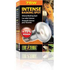 Exo Terra Intense Basking Spotlight Bulb R20, 75 W, E27 Socket