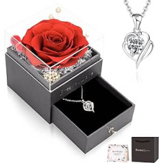 CSYY Eternal Rose, Gifts for Women Infinity Roses with 925 Sterling Silver Chain Jewellery Handmade Preserved Roses Jewellery Gift Box for Women Mum Sister Wife on Christmas