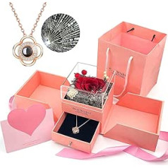 XIAPAI Infinity Rosen, Rosenbox, Konservierte Rose mit I Love You Halskette in 100 Sprachen, Rosenschmuck Geschenkpaket, Romantische Geschenke für Sie Am Valentinstag Muttertag Jubiläum (Rosa)