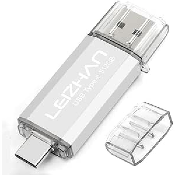 leizhan USB Stick 512GB Type C Memory Stick OTG Memory Stick 2-in-1 Flash Drive USB 3.0 Pen Drive for PC/Laptop/Notebook, and Other USB-C (512GB, Silver)