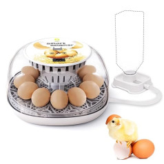 Incubator Chickens Fully Automatic Incubator 12 Egg Incubator with Display, Temperature Control Egg Incubation Hatcher for Chicken Goose, Duck, Dove, Quail, Bird (12 Eggs)