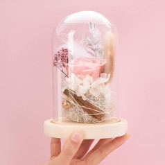 AOKKR mūžīgā roze stiklā, īstas rozes konservētas ar LED, bezgalības roze meitenēm, izsmalcināta rožu dāvanu kastīte, piemērota Valentīna dienai, kāzām, mātes dienai, dzimšanas dienai, rozā ziedi