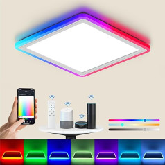 BLNAN Smart RGB LED Ceiling Light Dimmable 24 W, WiFi Ceiling Light with App Control and Remote Control, Compatible with Alexa Google Home, Living Room, Bedroom, Children's Room, Dining Room, 32 cm