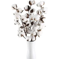 HUAESIN 3 Pcs Cotton Branch 10 Heads Natural Dried Flowers Artificial Flowers White Artificial Flowers Fake Flowers for Vase Wedding Room Cafe Decoration