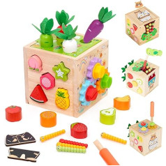 5 in 1 Montessori motorisko prasmju kubs, aktivitāšu kubs, spraudņa kubi satur formu piešķiršanu, burkānu novākšanu, kukaiņu ķeršanu, rīkus, koka kubus, agrīnās attīstības un aktivitāšu rotaļlietas, mācību rotaļlietas no 1 gada.